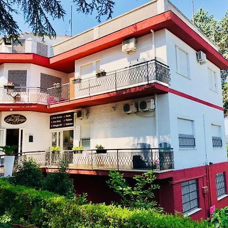 Locanda San Biagio Misano Adriatico Dış mekan fotoğraf